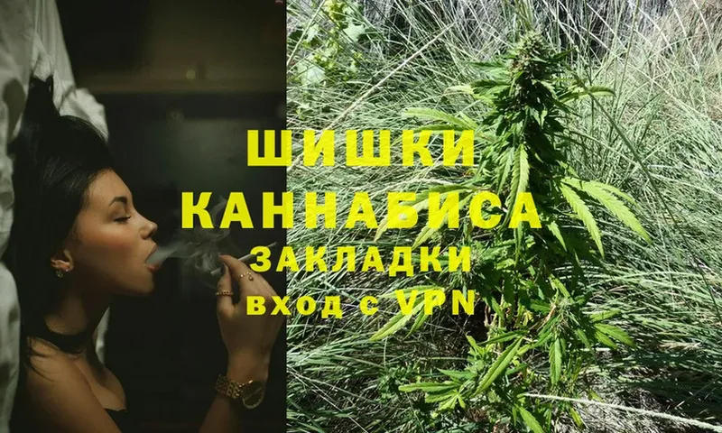 Каннабис OG Kush  Бугуруслан 